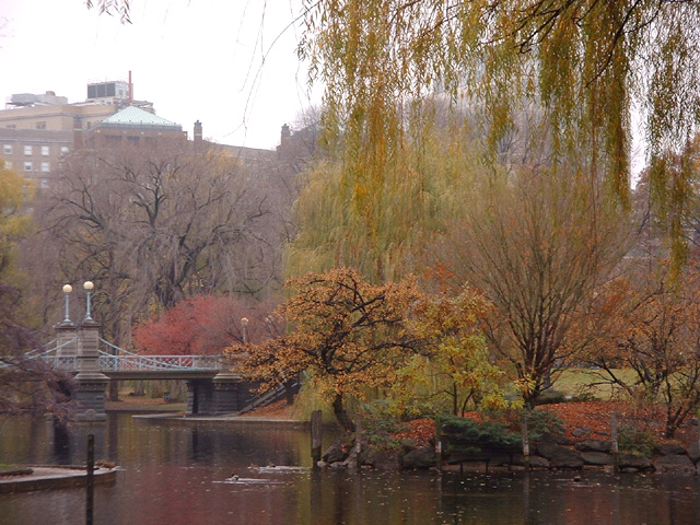 boston_public_garden_big-boston-nightlife-image-1001.jpg